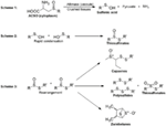 Frontiers | Chemical and Biochemical Mechanisms Underlying the ...