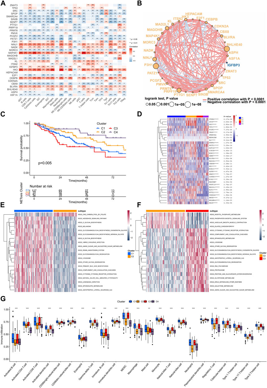 Frontiers | Integration analysis of senescence-related genes to predict ...