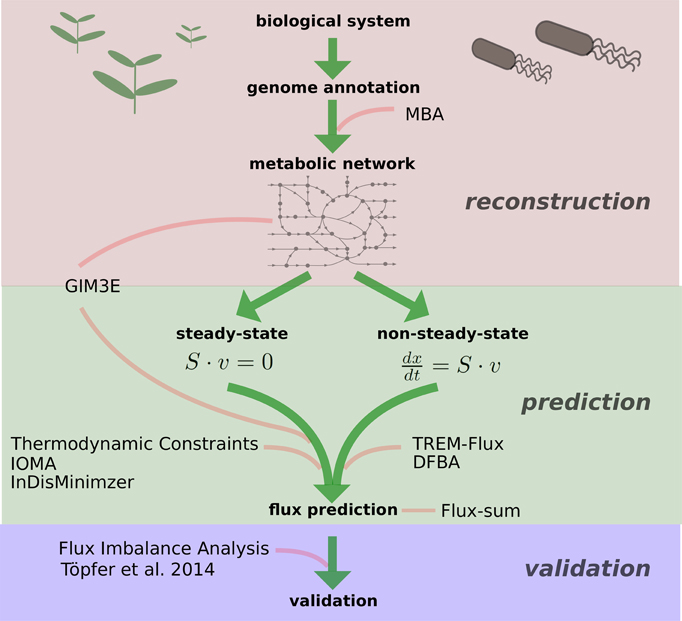 Frontiers | Integration of metabolomics data into metabolic networks