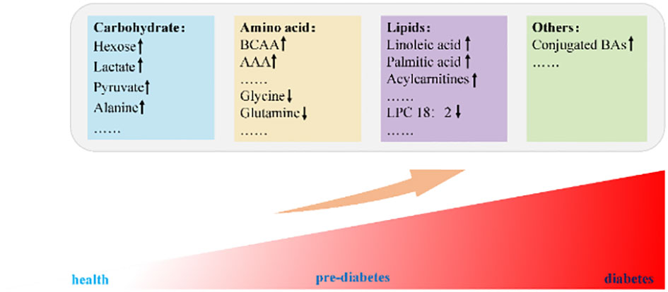 Frontiers | Metabolite profiles of diabetes mellitus and response 