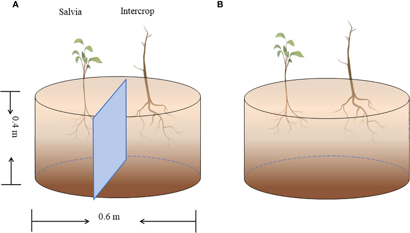 Study on the effect of compound cultivation on the growth  - Frontiers