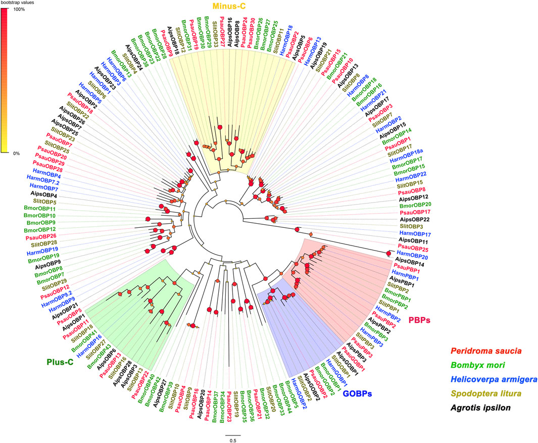 Frontiers | Antennal transcriptome analysis of odorant-binding