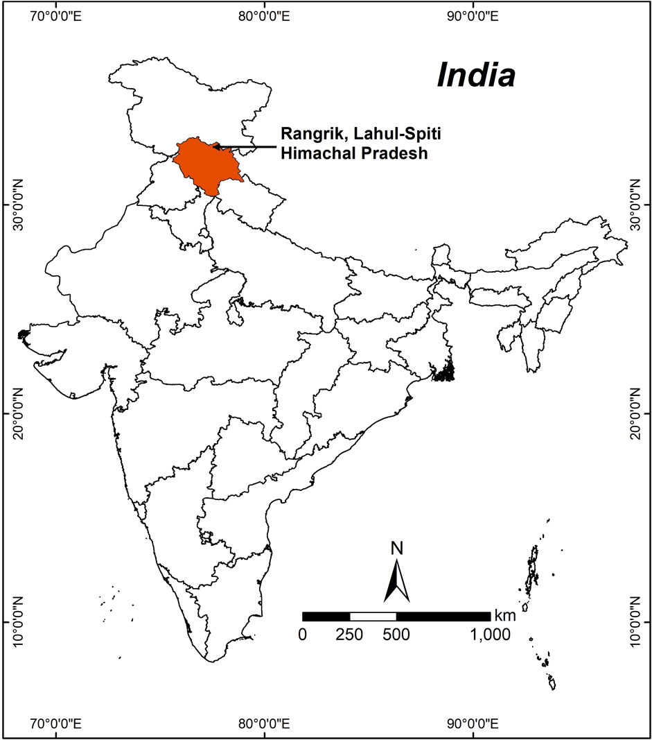 Frontiers | Hippophae rhamnoides L. (sea buckthorn) mediated green ...