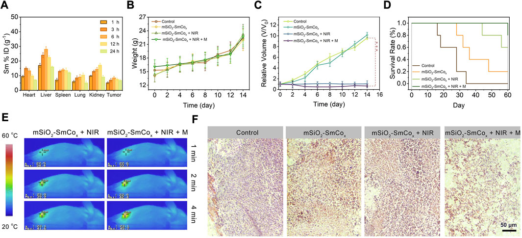 Frontiers Tailoring Msio2 Smcox Nanoplatforms For Magneticphotothermal Effect Induced 