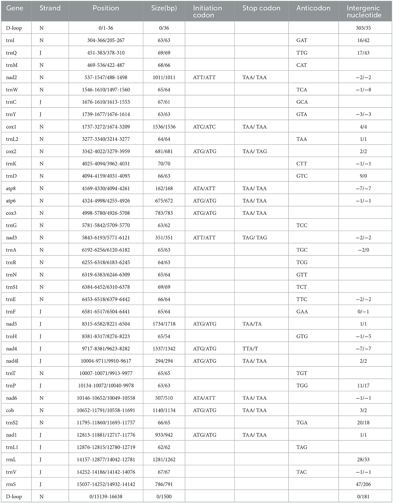 Frontiers | Analysis of complete mitogenomes and phylogenetic ...