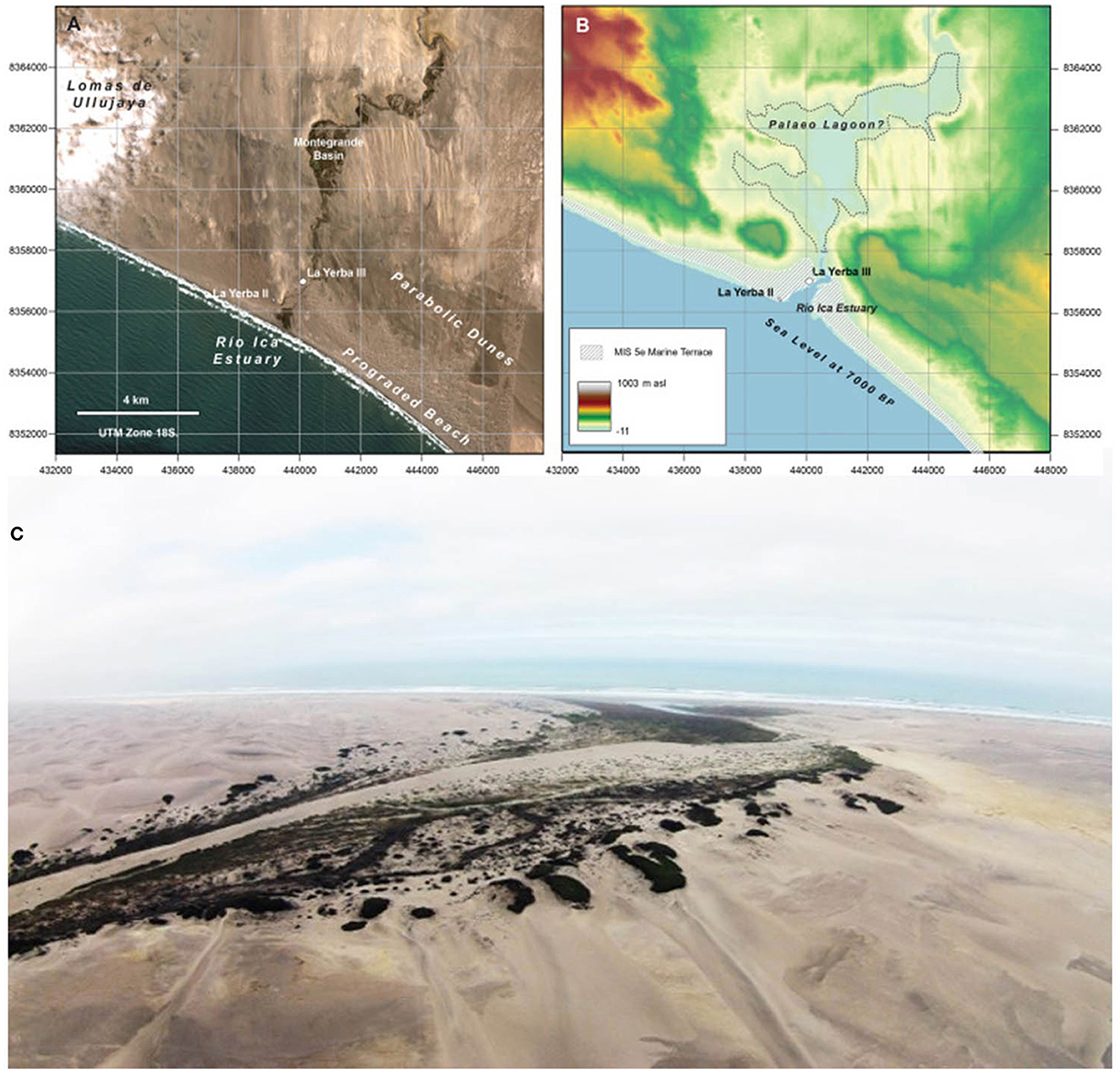 Frontiers  The use and context of fiber plants during the middle  preceramic: evidence from La Yerba II and III, south coast of Peru