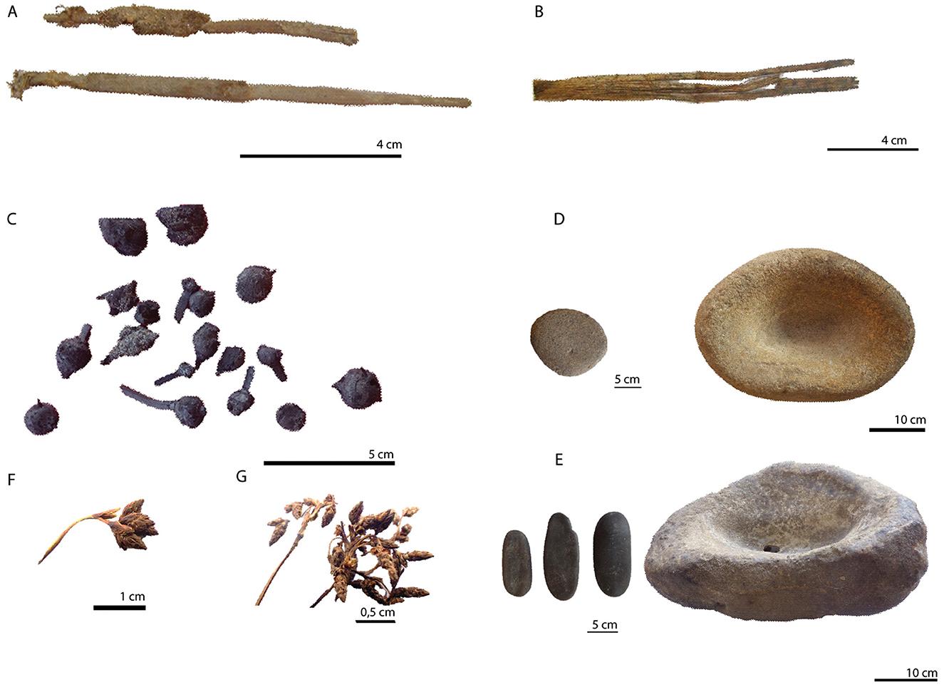 Frontiers  The use and context of fiber plants during the middle  preceramic: evidence from La Yerba II and III, south coast of Peru