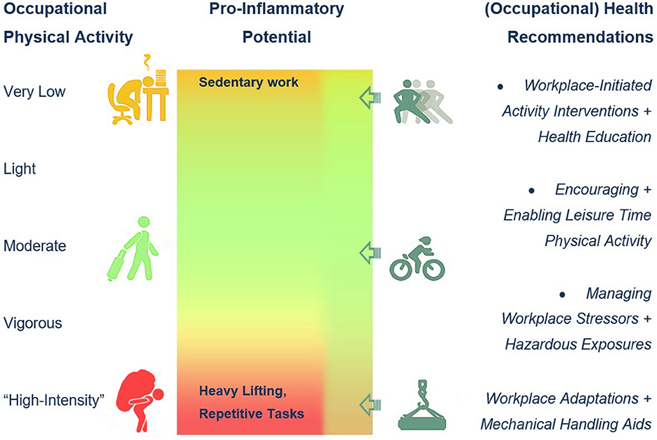 Understanding The Different Intensity Levels of Physical Activity