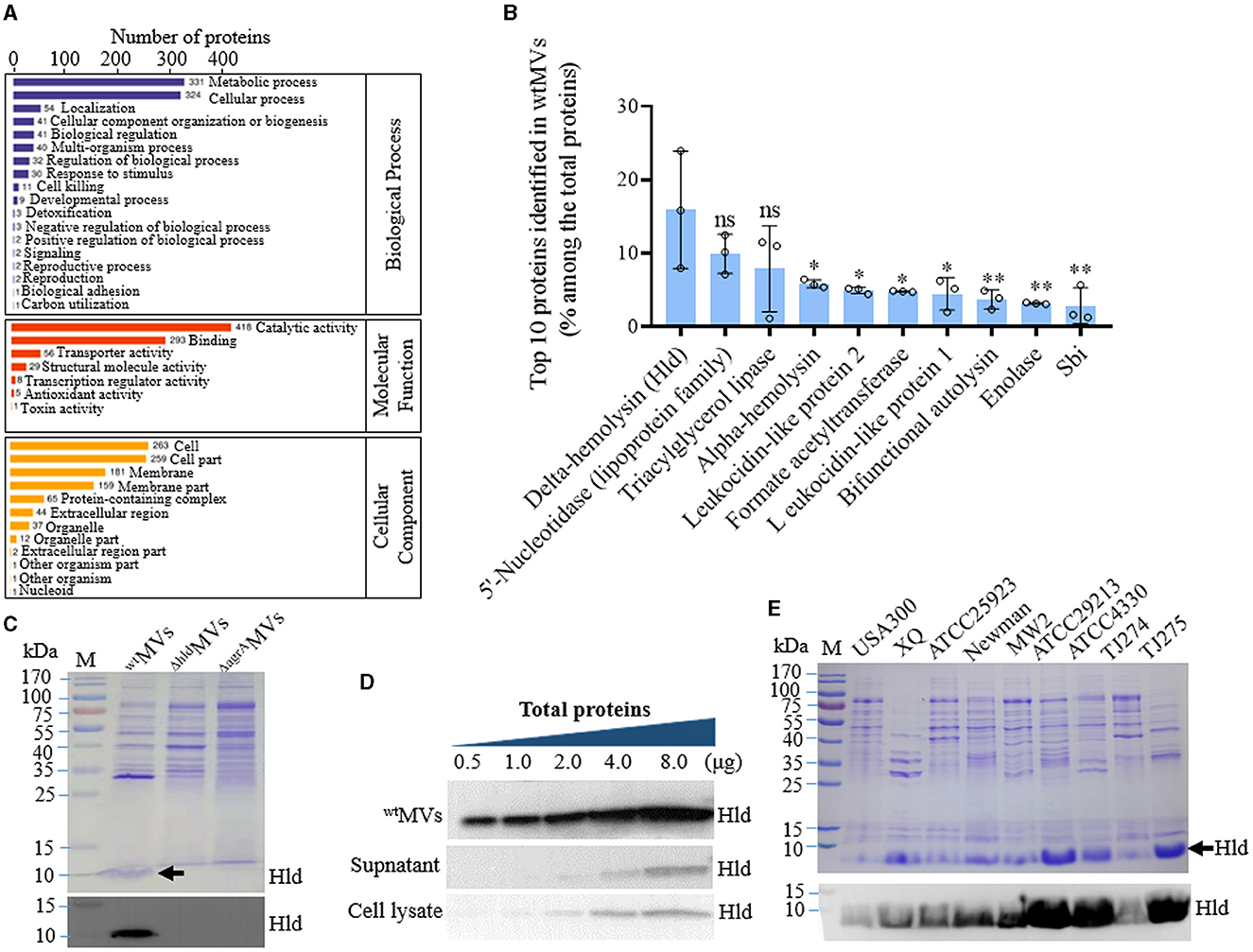 Release of Staphylococcus aureus extracellular vesicles and their  application as a vaccine platform