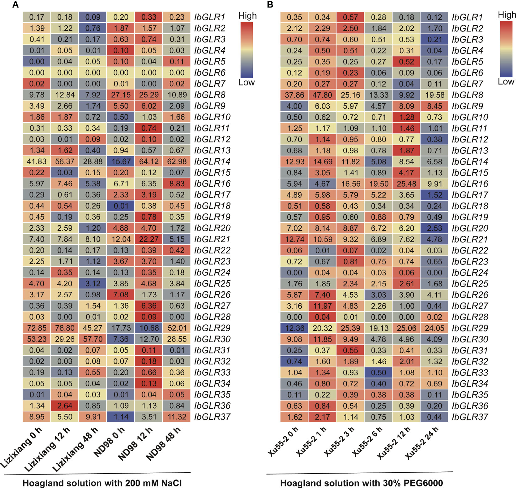 Frontiers | Genome-wide identification and expression analysis of 
