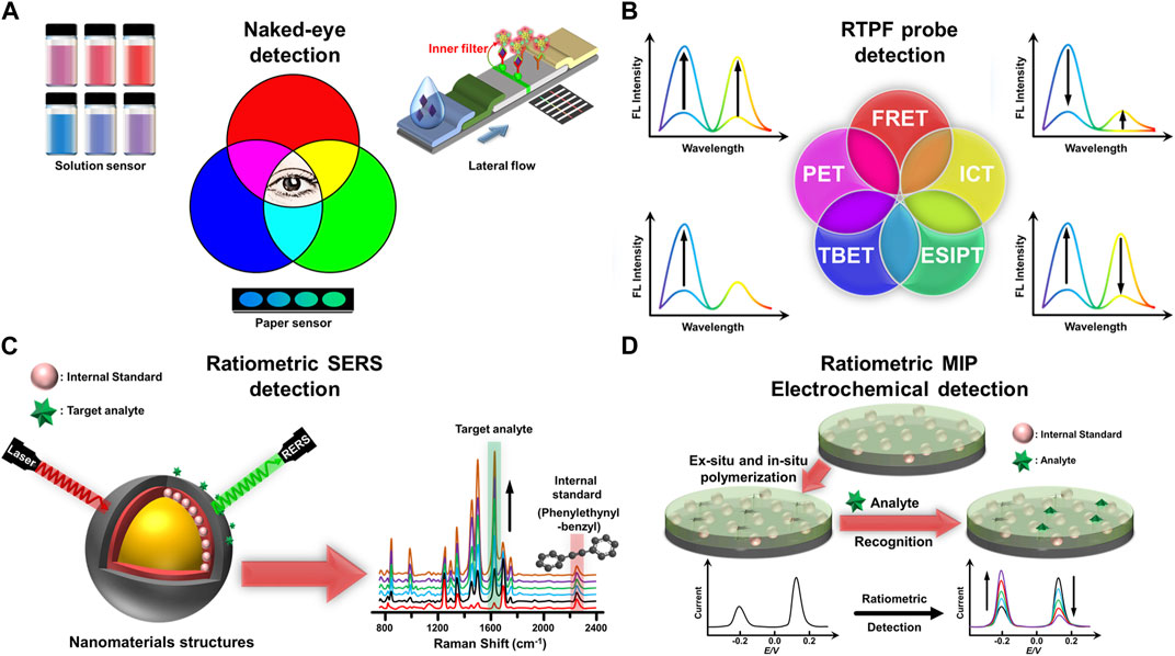 Frontiers  Maximizing analytical precision: exploring the advantages of  ratiometric strategy in fluorescence, Raman, electrochemical, and mass  spectrometry detection