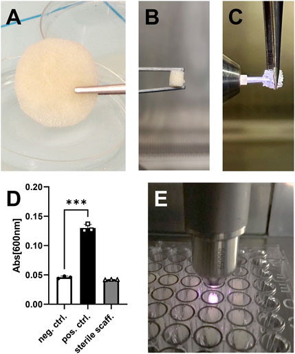 Frontiers  Cold physical plasma treatment optimization for improved bone  allograft processing