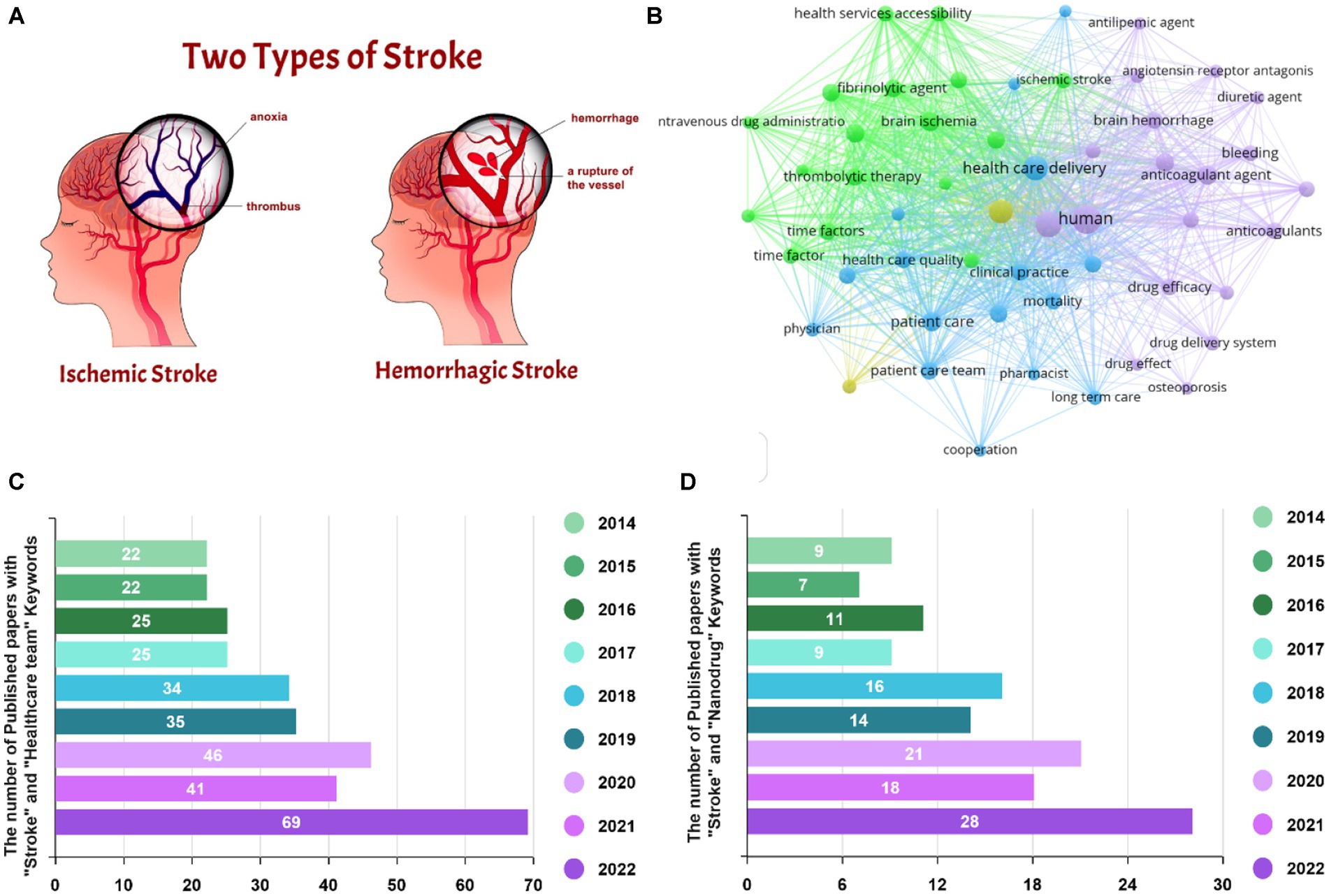 Frontiers  A Review of the Advancements in the in-vitro Modelling of Acute  Ischemic Stroke and Its Treatment