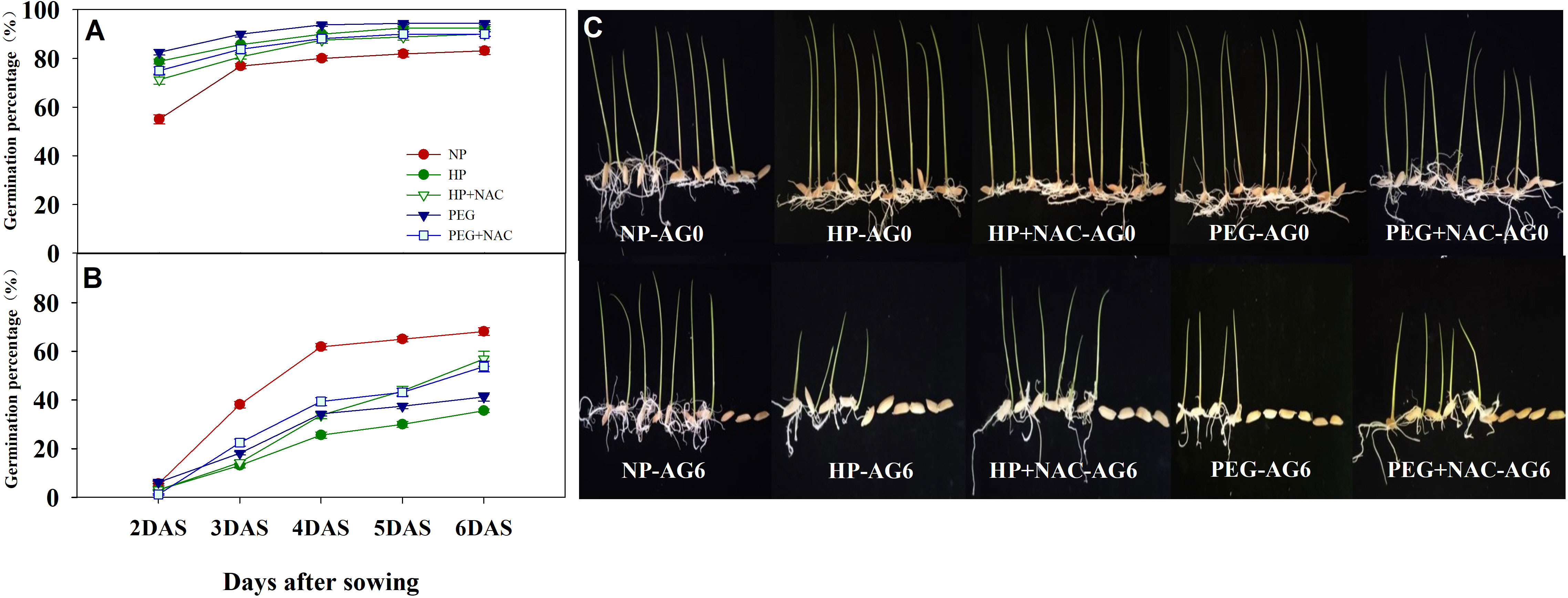 High-temperature drying increases longevity of rice seed