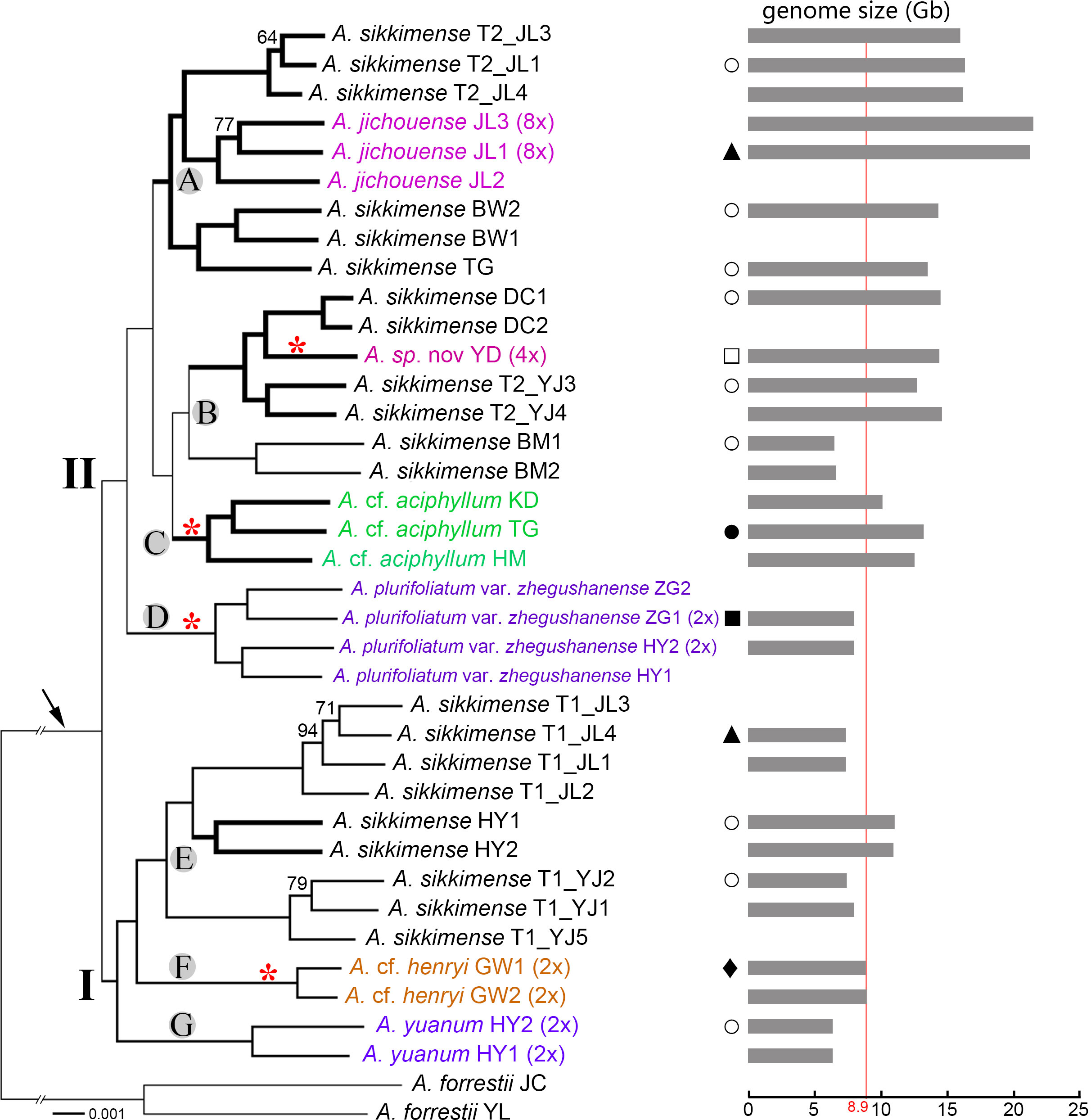 Frontiers | Phylogenomic analyses and chromosome ploidy 