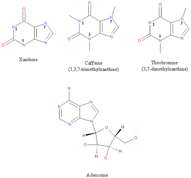 Frontiers | The relevance of theobromine for the beneficial effects of ...