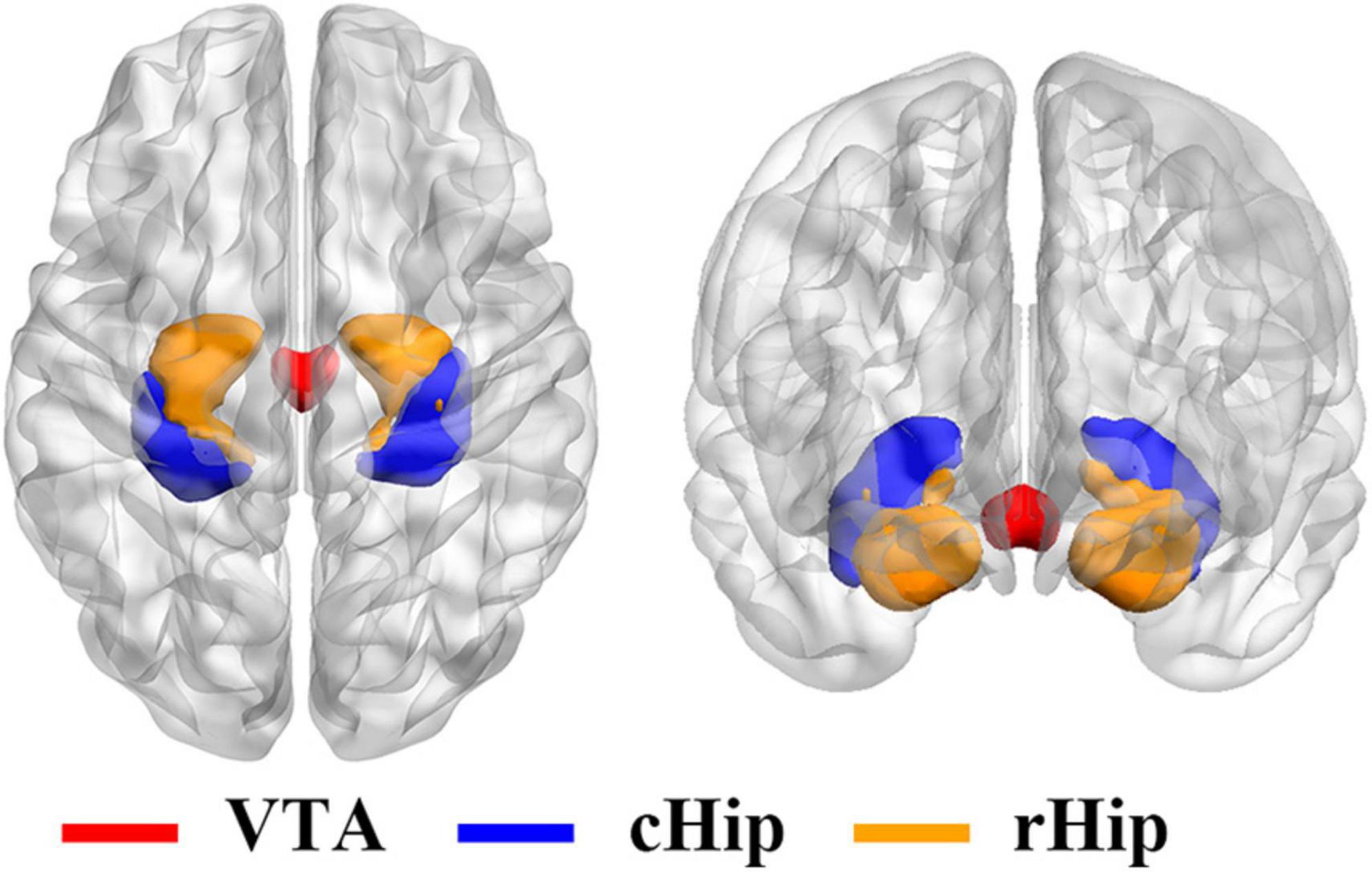 Frontiers Interaction effects between smoking and internet