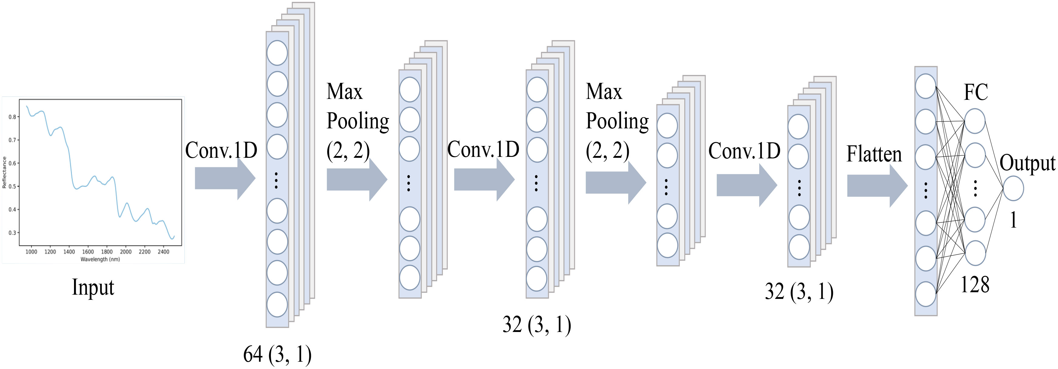 Frontiers | Non-destructive prediction of isoflavone and starch by 