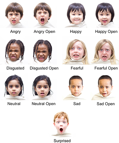 Frontiers | The Child Affective Facial Expression (CAFE) set: validity ...