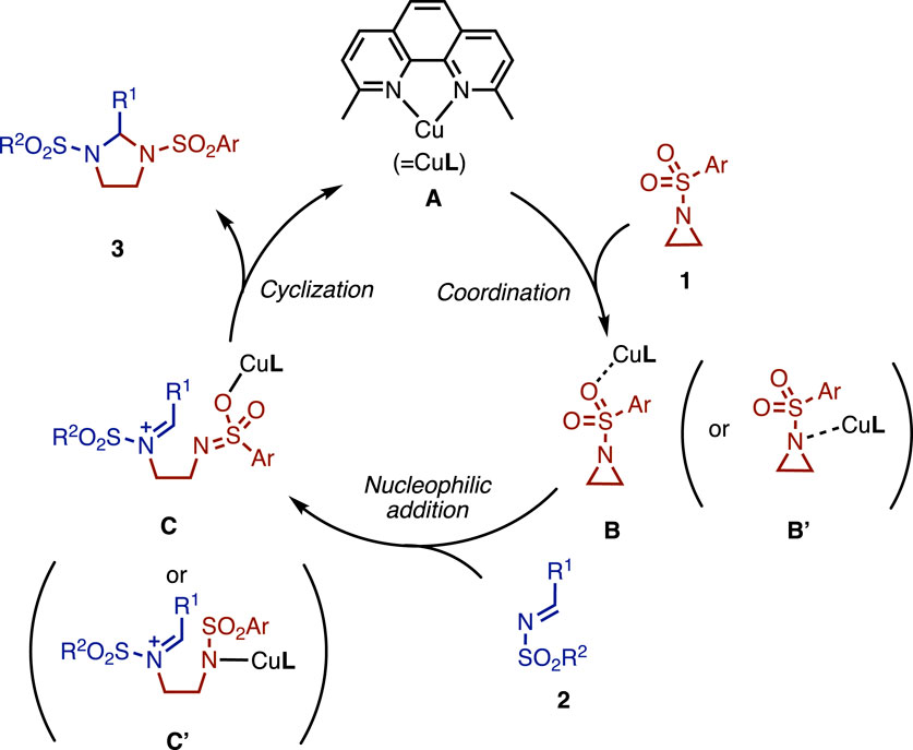 Frontiers Copper Catalyzed Reaction Of Aziridine For The Synthesis Of