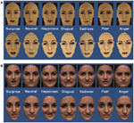 Frontiers | Can a Humanoid Face be Expressive? A Psychophysiological ...