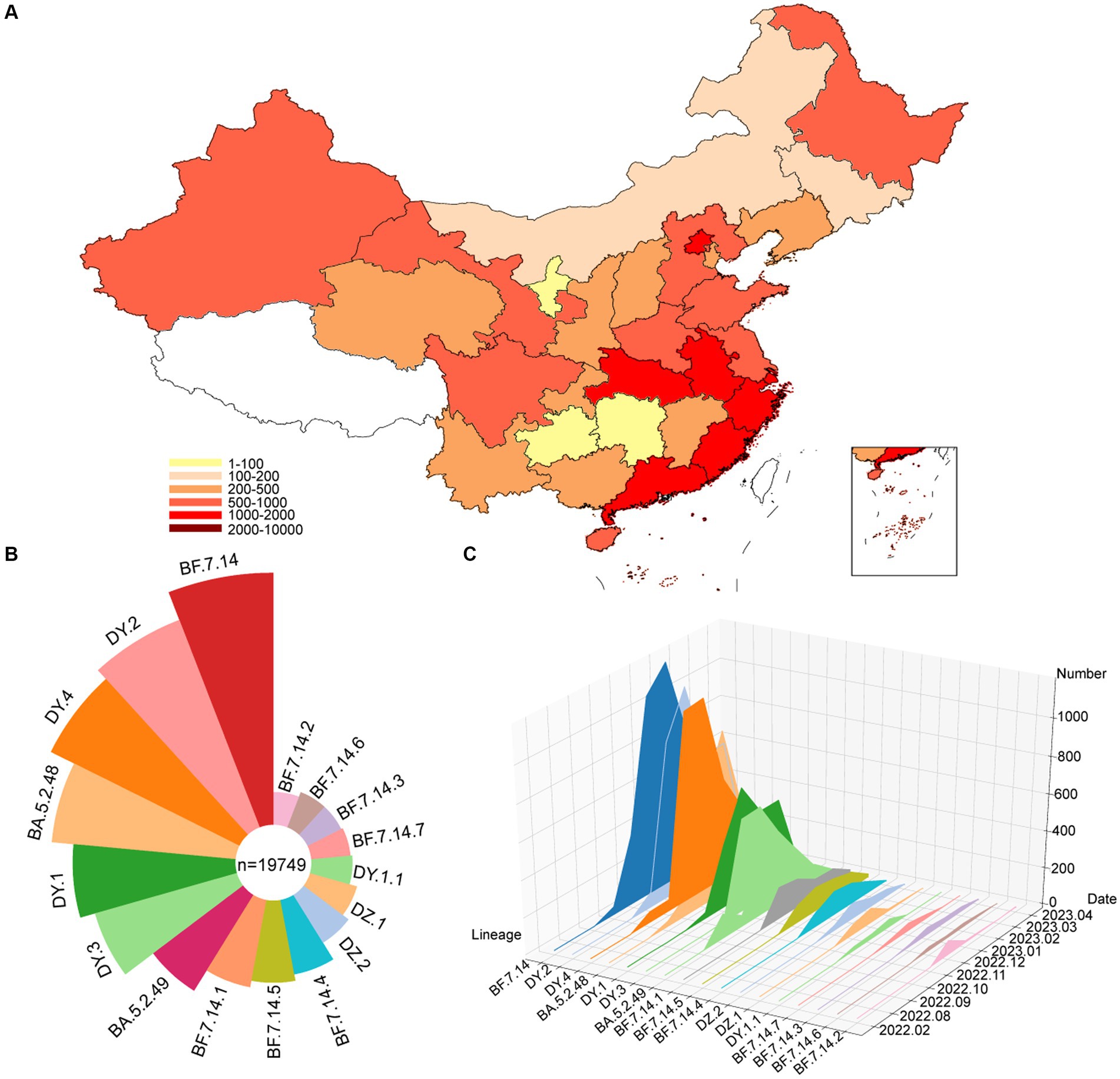 Frontiers | Genomic evolution of BA.5.2 and BF.7.14 derived