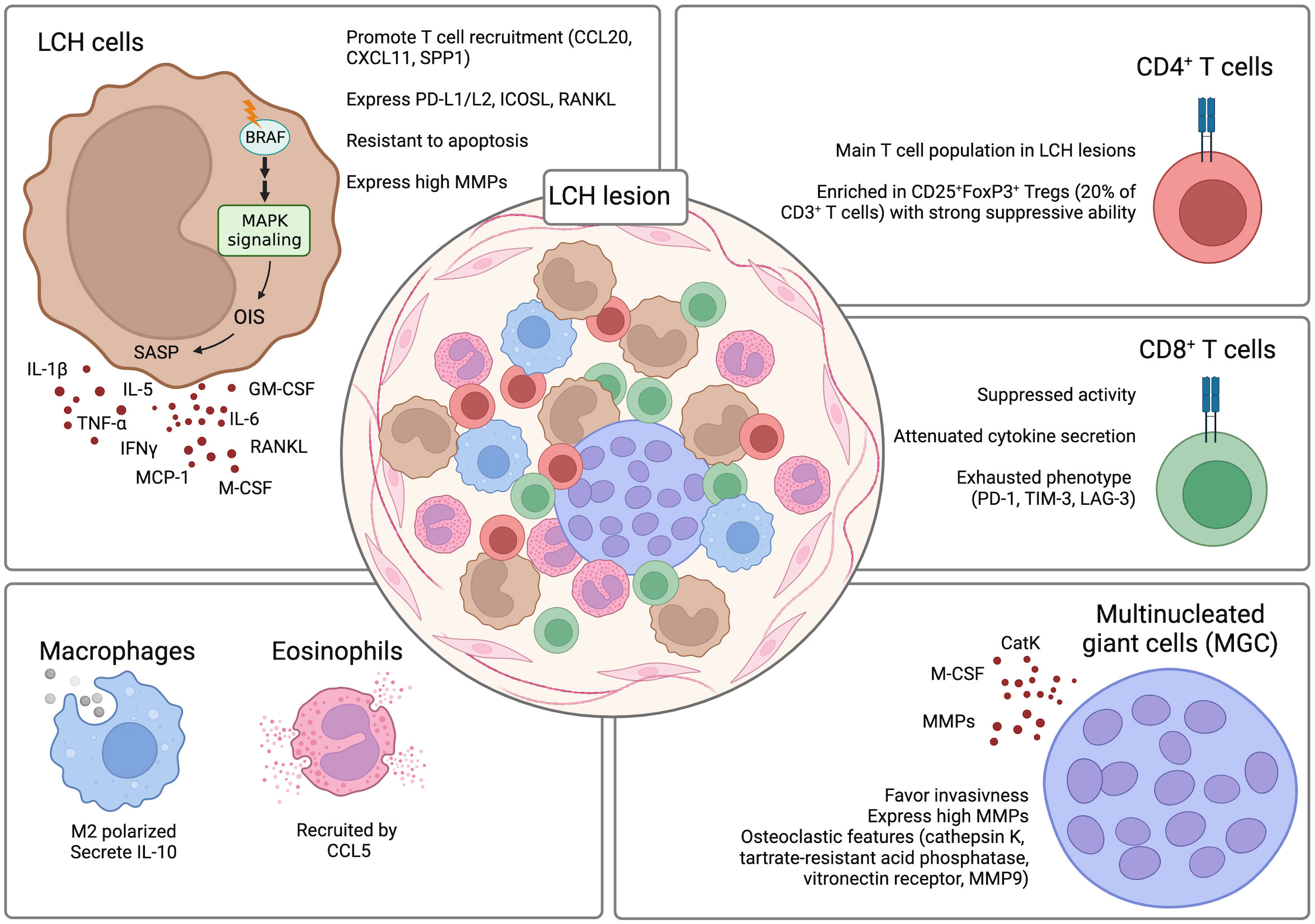 Frontiers  Advances in the molecular pathogenesis and cell