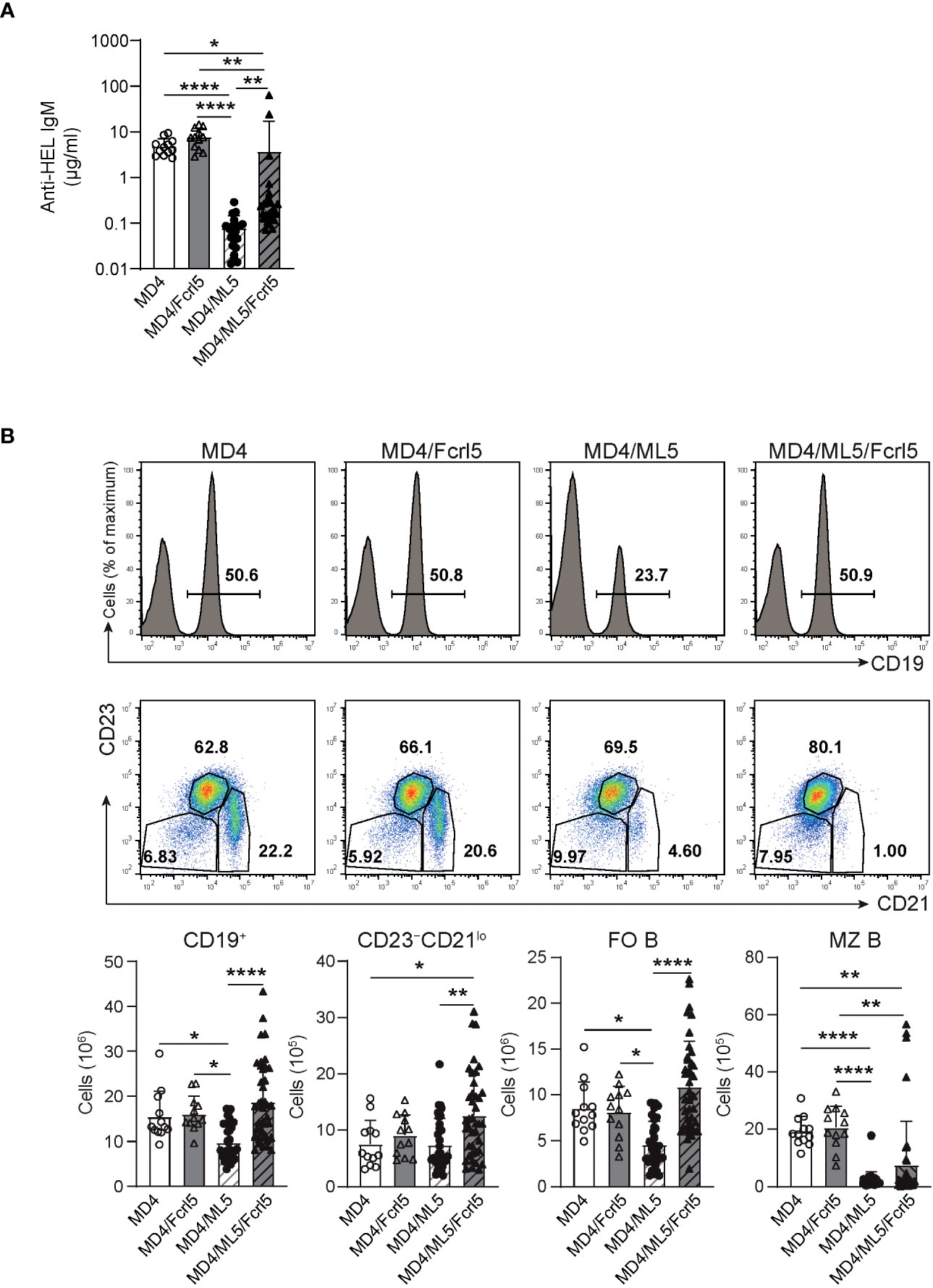 Frontiers | Upregulated Fcrl5 Disrupts B Cell Anergy Causes Autoimmune ...