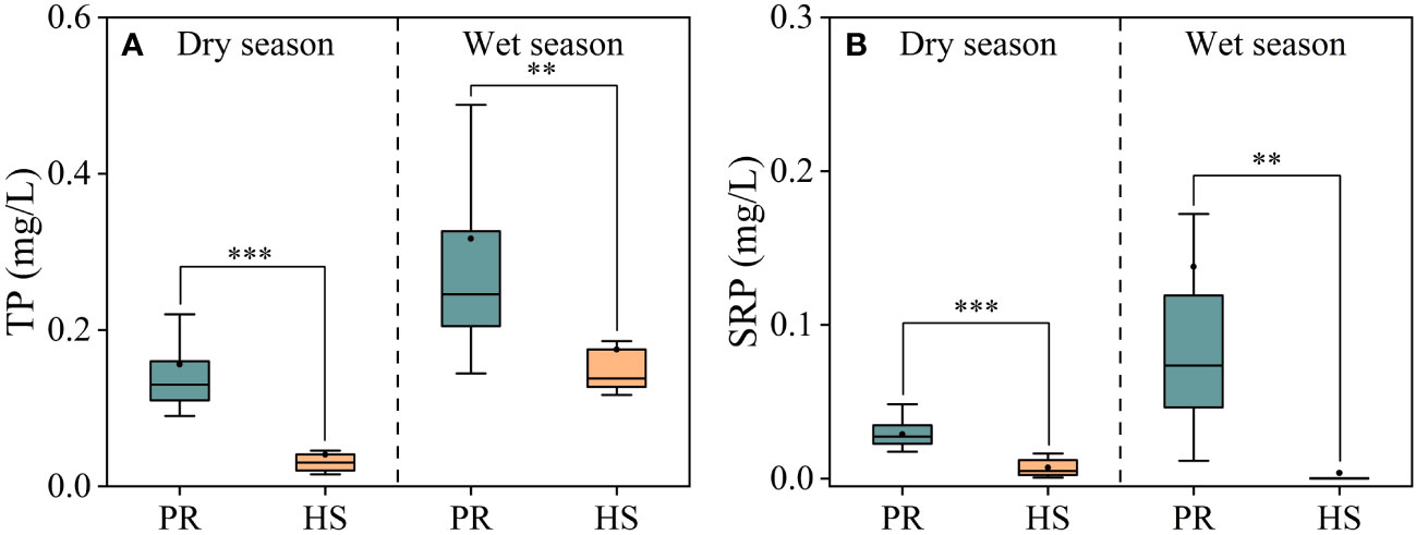 Frontiers | Phytoplankton in headwater streams: spatiotemporal 