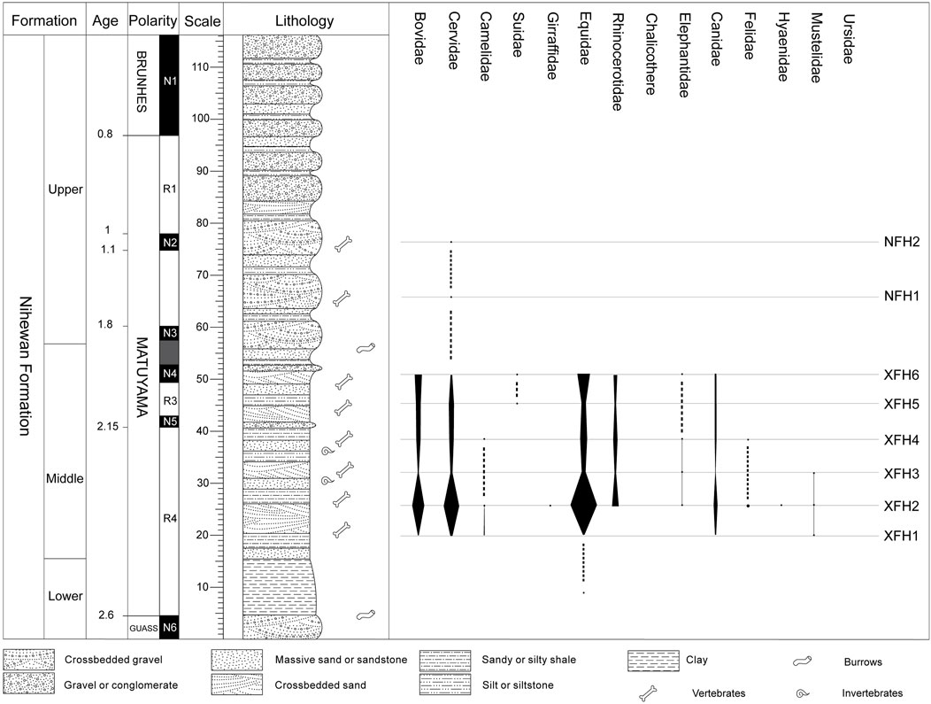 Frontiers | First results of the biostratigraphy and geochronology 