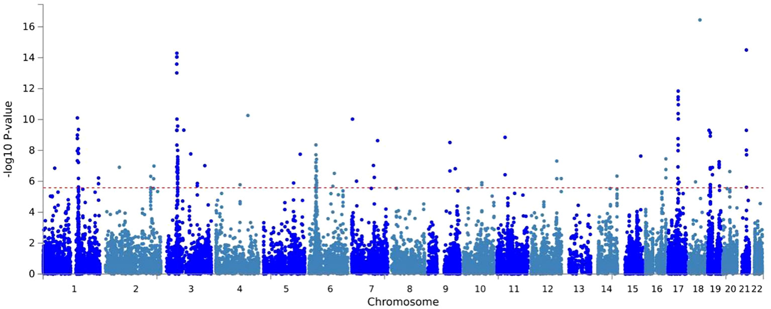 Frontiers | Genetic overlap and causality between COVID-19 and multi ...