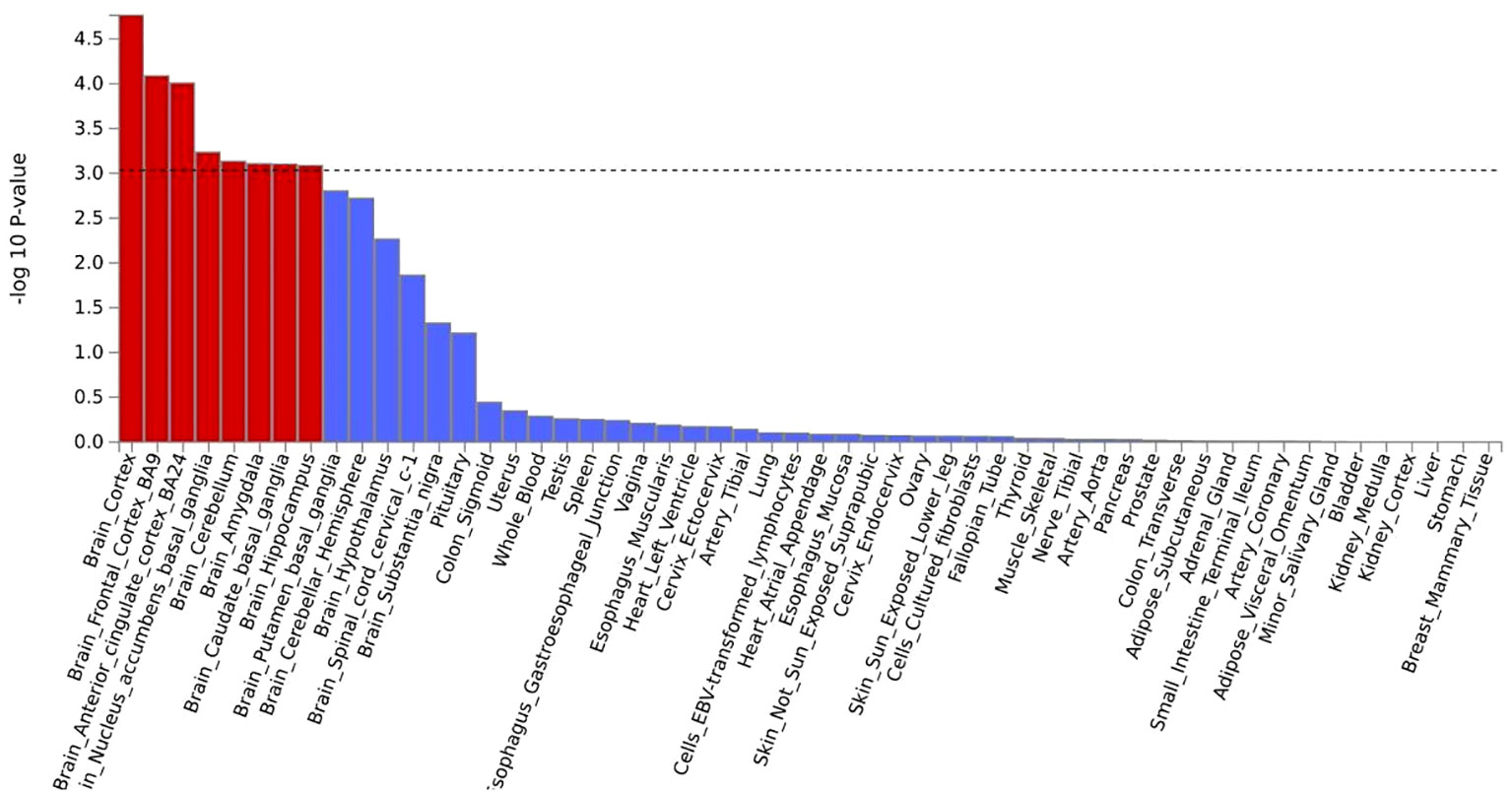 Frontiers | Genetic overlap and causality between COVID-19 and multi ...