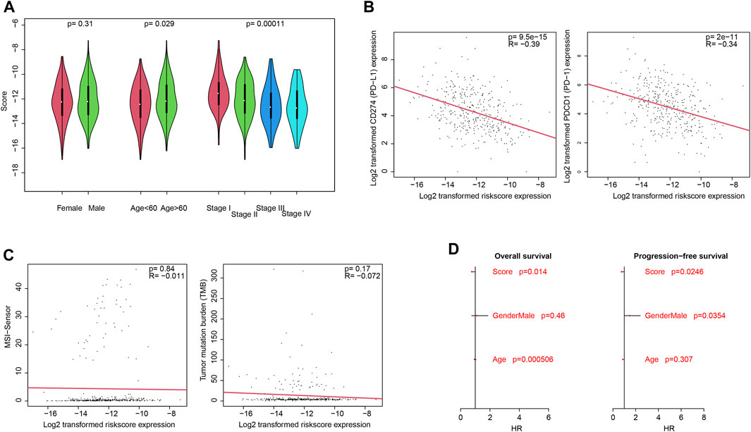 Frontiers | Immune-related Gene-based Model Predicts The Survival Of ...