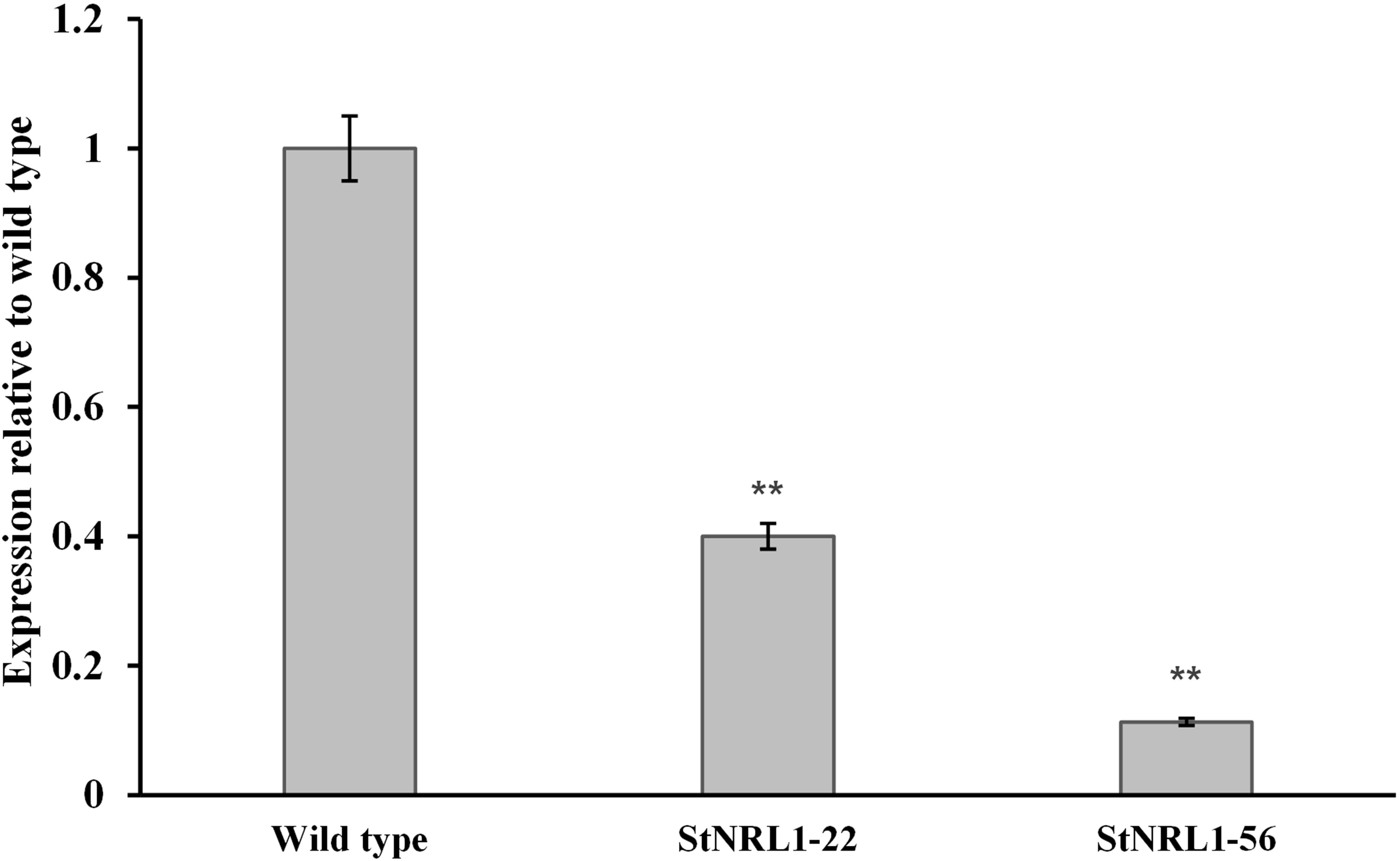 Frontiers | CRISPR/Cas StNRL1 gene knockout increases resistance to ...