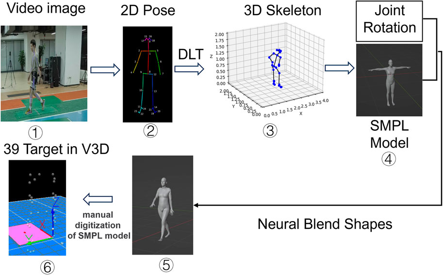 Frontiers Comparison of kinematics and joint moments