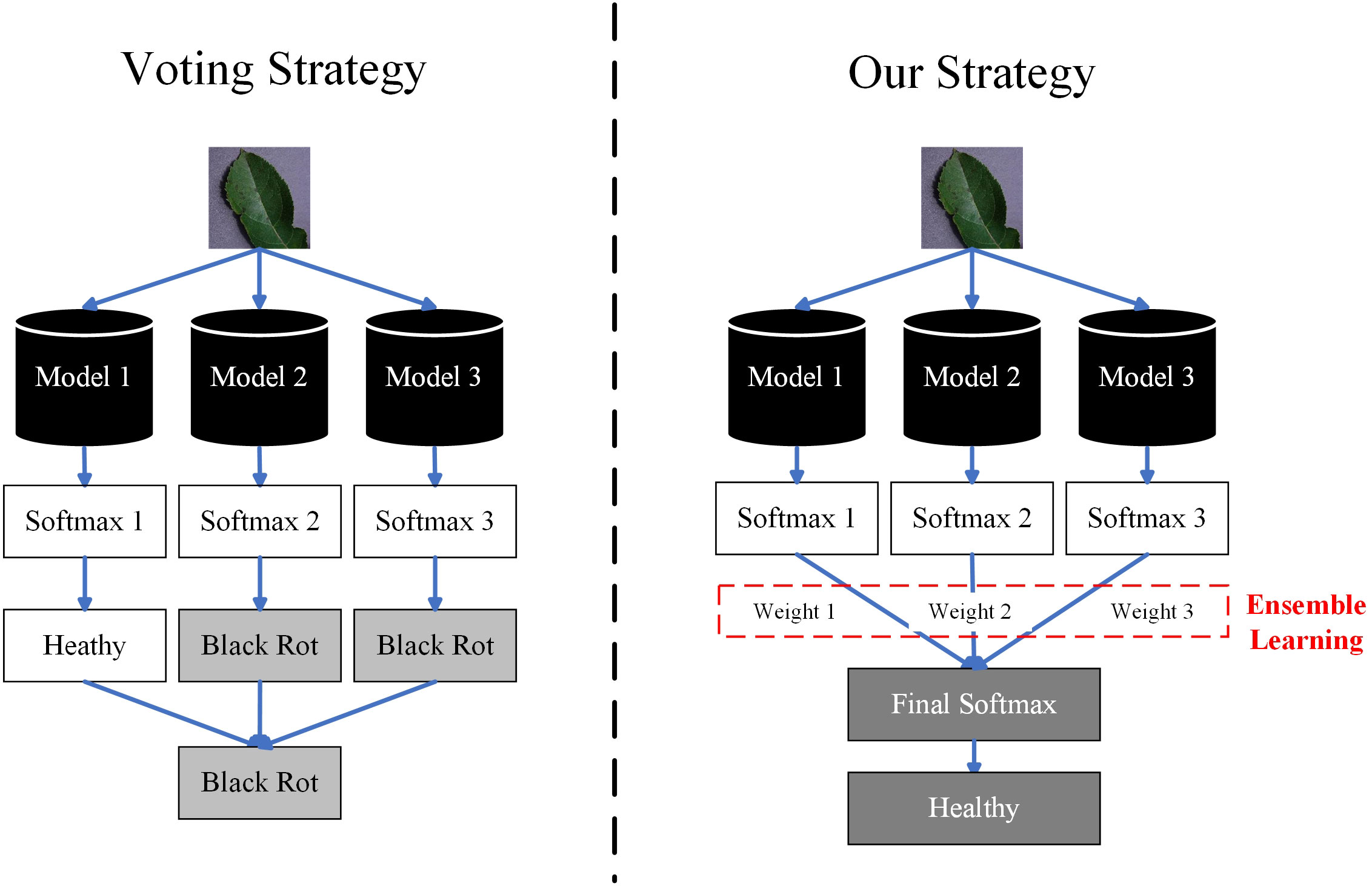 Frontiers  A novel ensemble learning method for crop leaf disease  recognition