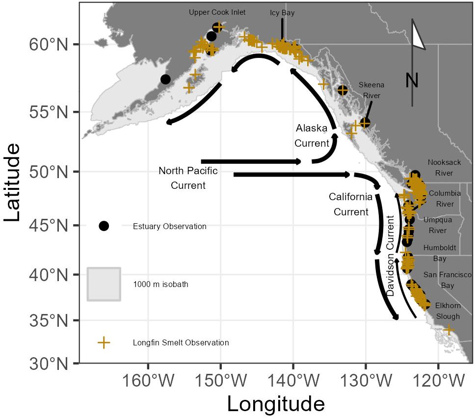 Frontiers  Variability in coastal habitat available for Longfin Smelt  Spirinchus thaleichthys in the northeastern Pacific Ocean