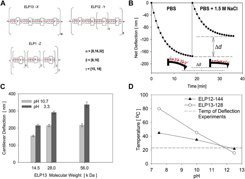 Frontiers | Exploring Stimuli-responsive Elastin-like Polypeptide For ...