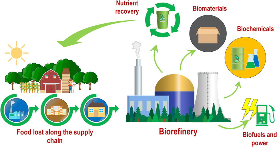 Frontiers | Title: Waste To Wealth: The Power Of Food-waste Anaerobic ...