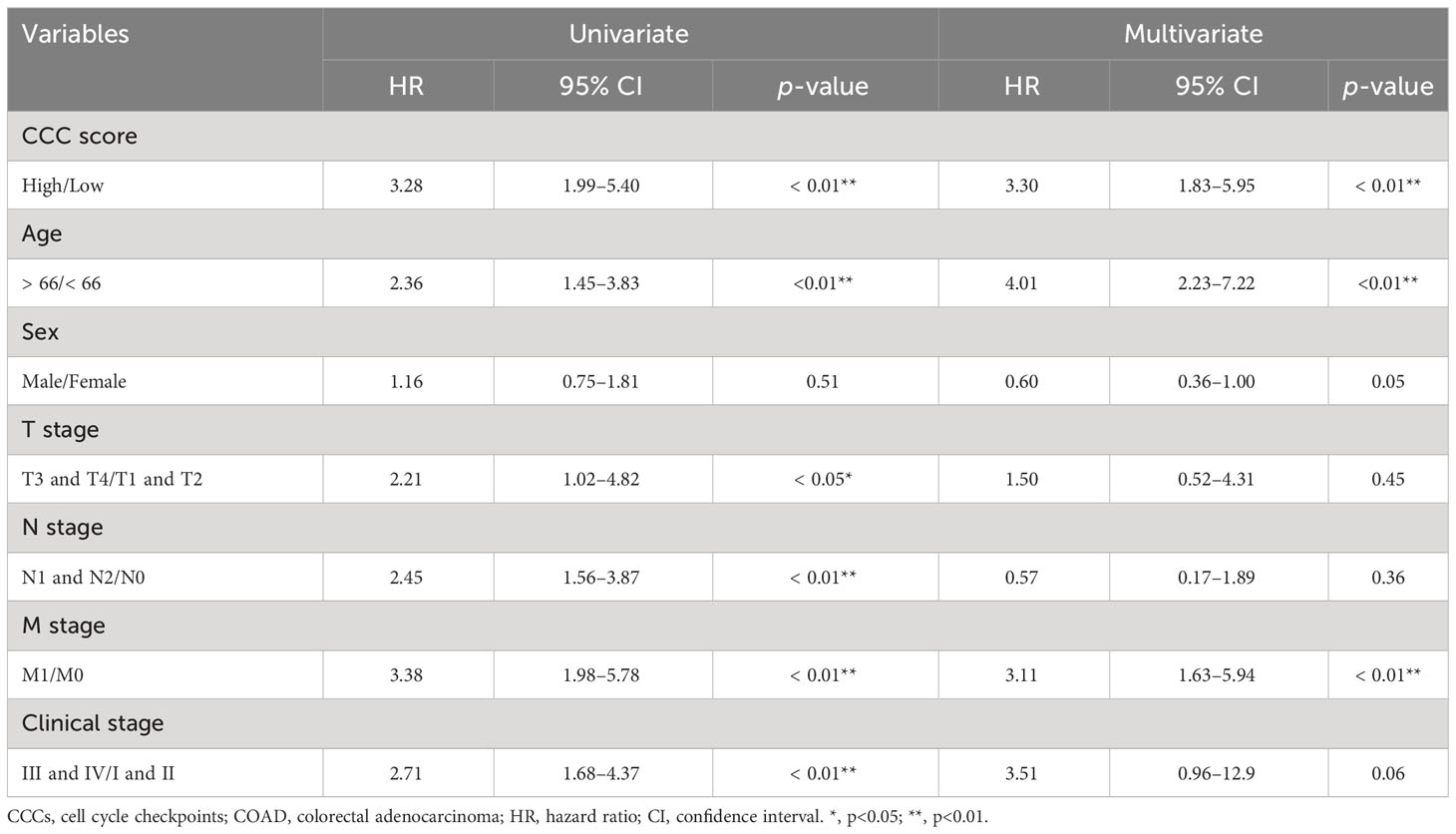 Frontiers | Transcriptomic correlates of cell cycle checkpoints with ...