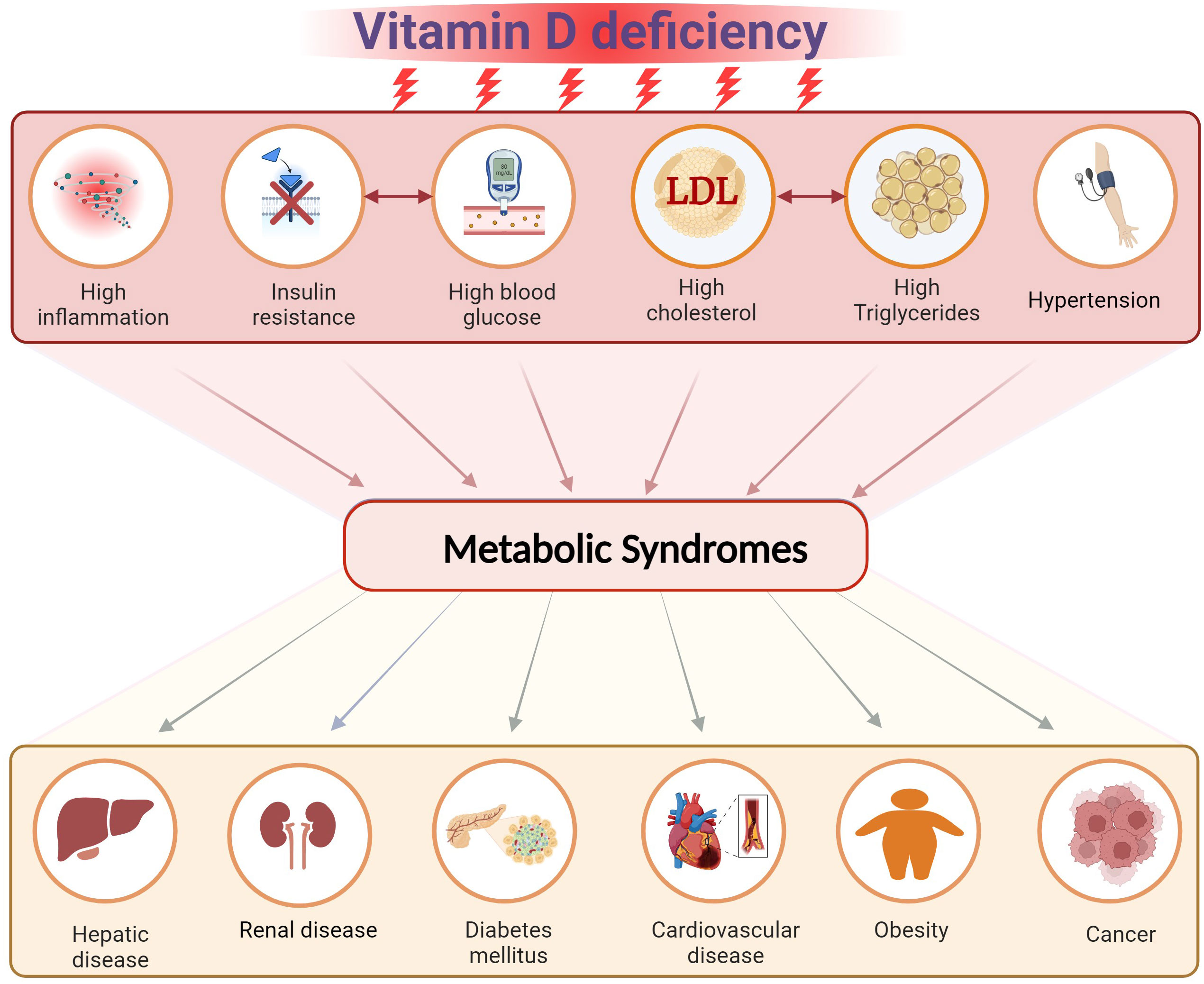 Frontiers | Editorial: The role of vitamin D in reducing the risk of  metabolic syndromes