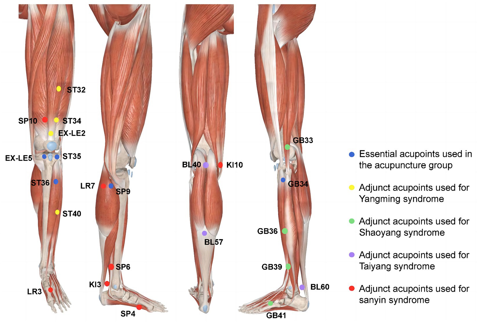 Frontiers | Short-term and Long-term Effectiveness of Acupuncture and ...