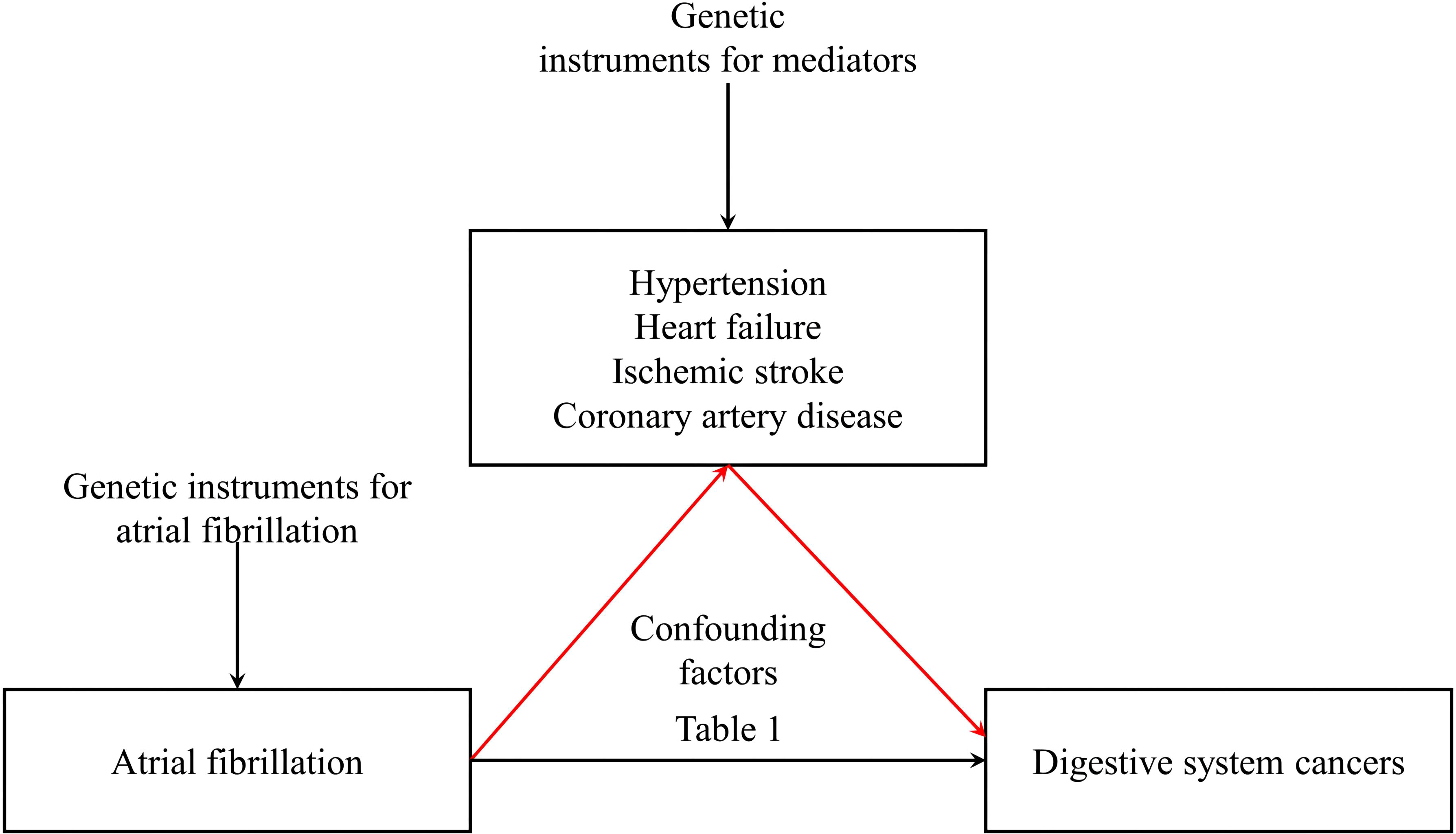 Frontiers | Connecting atrial fibrillation to digestive neoplasms:  exploring mediation via ischemic stroke and heart failure in Mendelian  randomization studies