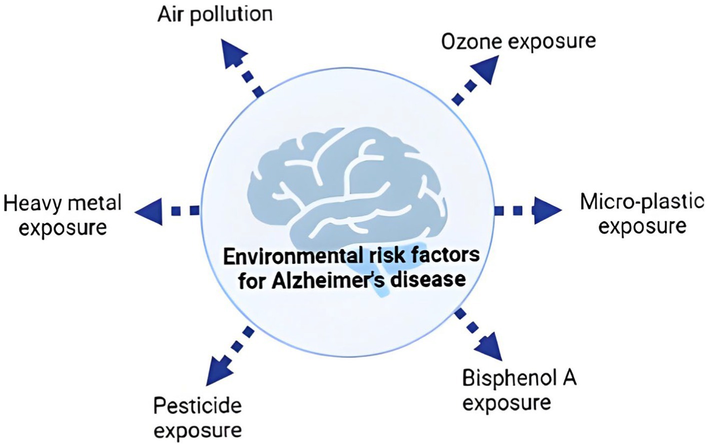 Frontiers | Alzheimer's disease: the role of extrinsic factors in 