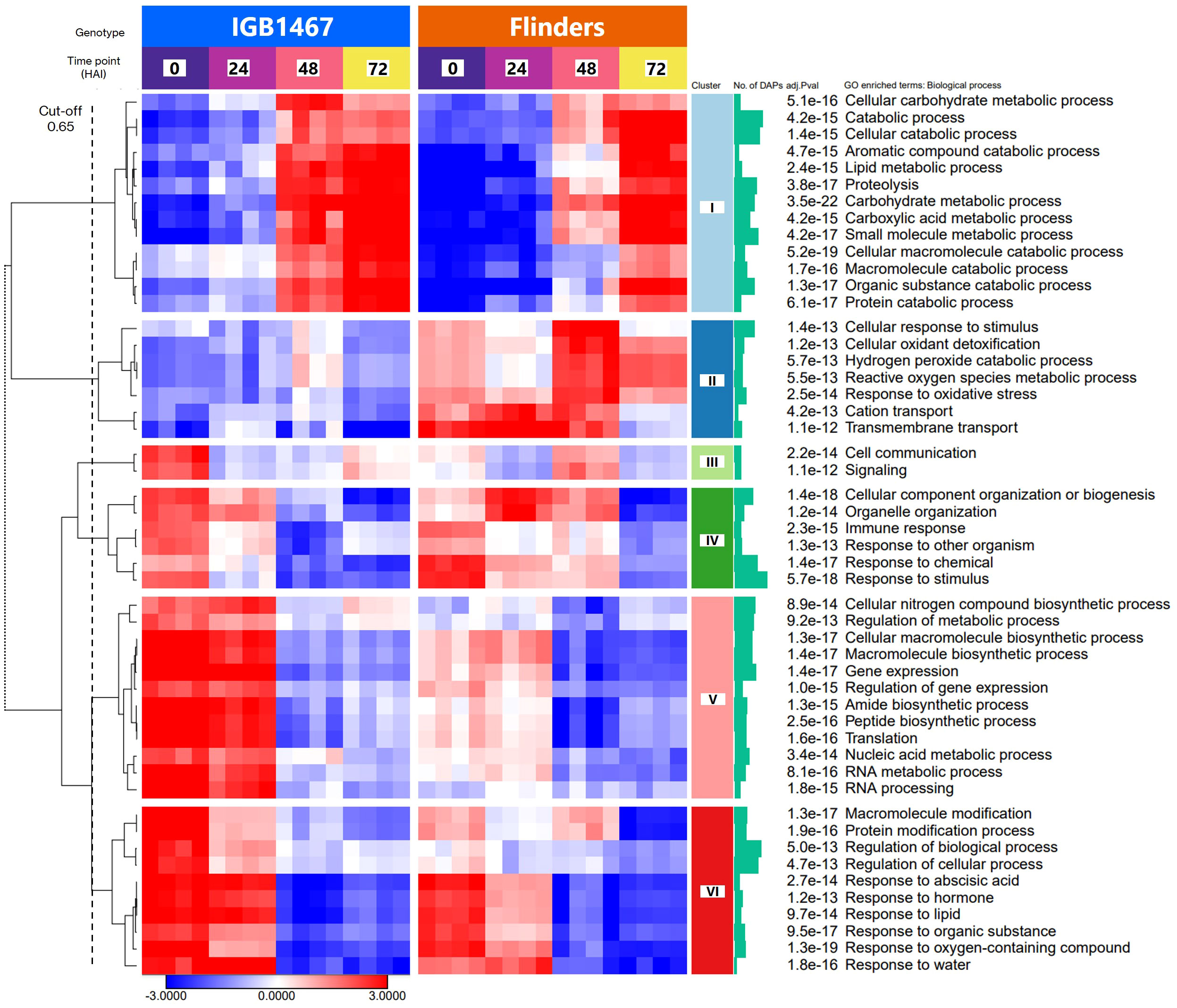 Proteome Analysis of Metabolic Proteins (pI 4–7) in Barley (Hordeum  vulgare) Malts and Initial Application in Malt Quality Discrimination