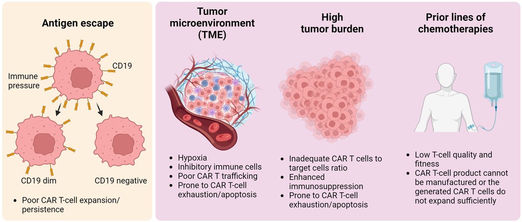 Cancer Cells Go Incognito to Cause Therapy Relapse