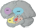 Frontiers | Global integration of the hot-state brain network of ...