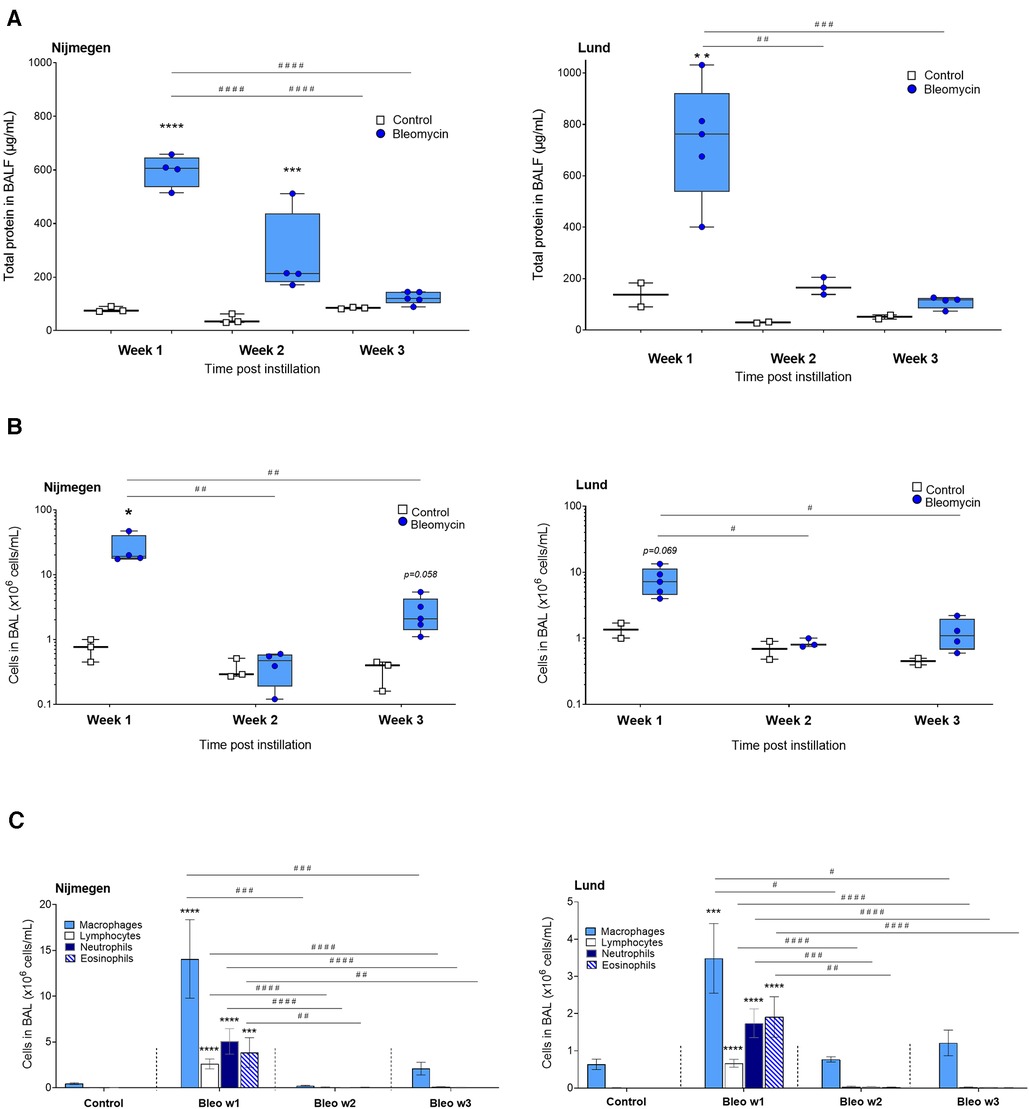 Frontiers | Utilizing MRI, [18F]FDG-PET and [89Zr]Zr-DFO-28H1 FAP-PET ...