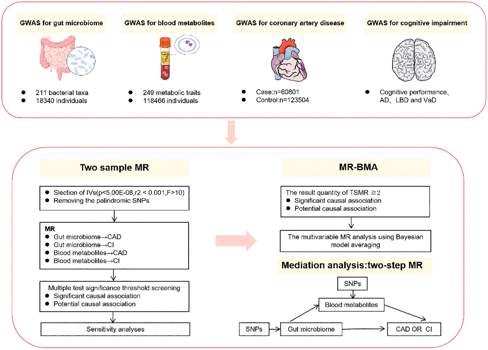 Frontiers | Gut microbiota in combination with blood metabolites 
