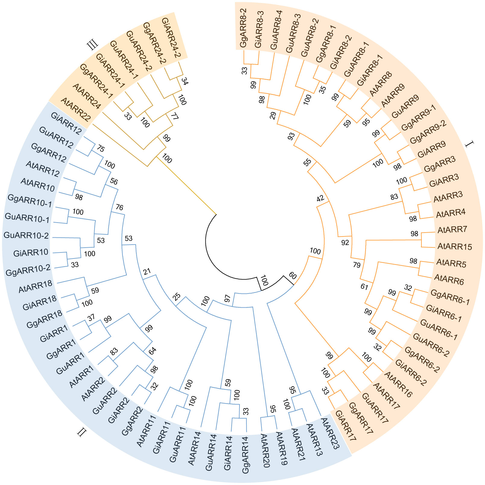 Frontiers  Genome-wide identification and expression profiles analysis of  the authentic response regulator gene family in licorice